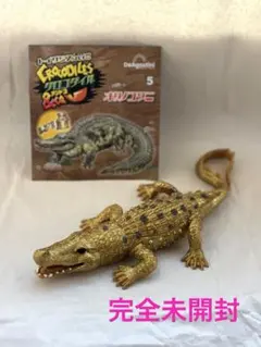 クロコダイルアンドコ オリノコワニ