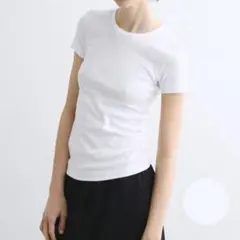 スリードッツ レディース アレックス カットソー tシャツ クルーネック 半袖のサムネイル