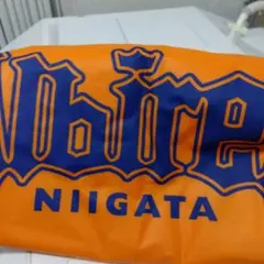 アルビレックス新潟 応援グッズ ポンチョ