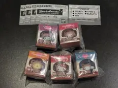 サンリオキャラクターズ　ミニチュアパッケージコレクション　コンプリート