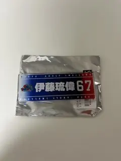 スワポン マグネット 伊藤琉偉 67