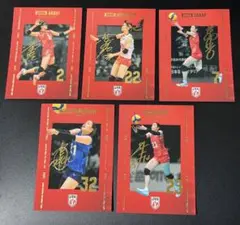 バレーボール 女子日本代表 荒木彩花 北窓絢音 栄絵里香 西村弥菜美 井上未唯奈
