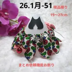 Item thumbnail for item d8d615b9-5b27-41bd-8991-fe8b882da23c