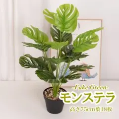 モンステラ フェイクグリーン 75cm 18枚　インテリア　造花　観葉植物　多肉のサムネイル