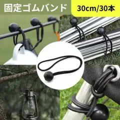 Item thumbnail for item 6084c246-e92c-41b7-ab50-6ebfada29c56