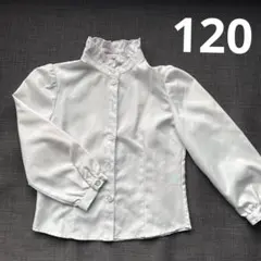 Catherine Cottage ホワイトシャツ 120サイズ