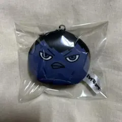 ハイキュー!! 動物マスコット ミニビーズクッション 影山飛雄 影ガラス