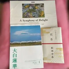 Item thumbnail for item 8de2d6ec-0885-4e64-9e68-59b3b3058bf7