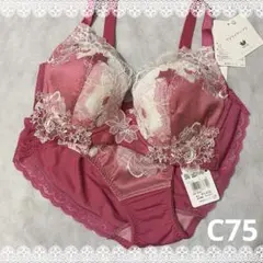 ワコール　パルファージュ　アドマイヤーブラ＆ショーツ　C75　新品　匿名配送