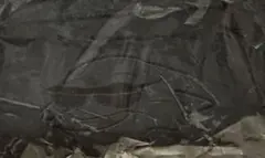 ズートピア　ニック・ワイルド トートバッグ しまむら