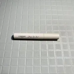 CANMAKE キャンメイク ジューシーリップティント 02 リップルージュ