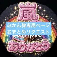 みかん様 リクエスト 2点 まとめ商品