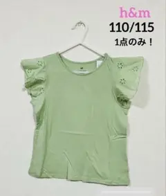 新品⭐h&m 新作❗️バタフライスリーブトップスイギリス刺繍110/115