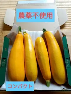 イエローズッキーニ　農薬不使用のサムネイル
