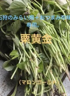 2026年最新】マロンゴールド栗黄金苗の人気アイテム - メルカリ