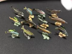 ユージン 原色淡水魚図鑑　12体セット　まとめ売り