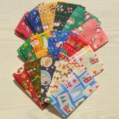 ポチ袋❄ミニ封筒【Xmas】