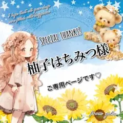 柚子はちみつ様 リクエスト 3点 まとめ商品