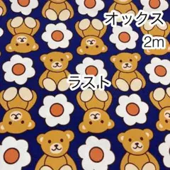 ラスト2点 2m くまとお花 ネイビー オックス