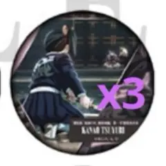 鬼滅の刃 ものがたる背中 缶バッジA 栗花落カナヲ3点