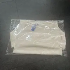 Item thumbnail for item d81feac4-bde6-4c53-b842-4834d593f01c