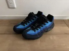 Stash Nike Air Max 95 Black Harbor Blue