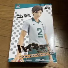ハイキュー！！ セカンドシーズン 二口堅治 DXFフィギュアvol.11