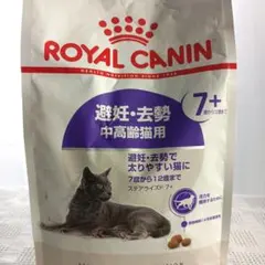 Item thumbnail for item 269c8361-77fd-485f-982a-3fe855bc90e6