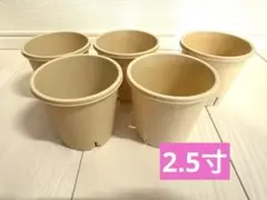 つぶつぶ屋 2.5寸 タニポット 多肉