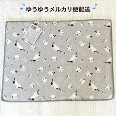 Item thumbnail for item 333a3ba3-0789-4b00-96b3-0e0a8493184f