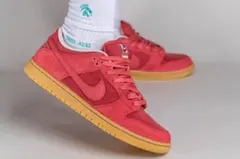 NIKE SB DUNK LOW PRO PRM Adobe アドビ　28.5