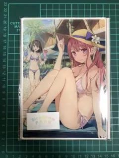 もっちゅ様 リクエスト 2点 まとめ商品