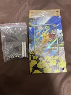 ピカチュウ　バイオレット　スカーレット　プロモ　用フレームのみ