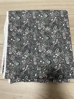 Item thumbnail for item 0e95b8eb-e346-4187-832a-800ded344b00