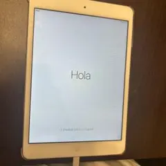 Apple iPad mini 初代 wifiモデル　32GB ケース付き
