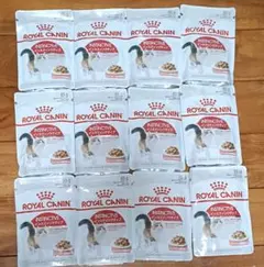 Item thumbnail for item 4fd7c502-4d59-47bc-b42e-356e041f1a28