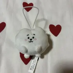 BTS バンタン RJ ジン ぬいぐるみ マスコットキーホルダー