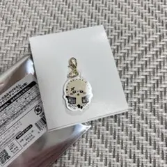 ちいかわ　シーサーのおみやげやさん　トレーディングミニアクリルチャーム　ラッコ