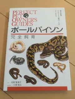 2026年最新】パーフェクトボールパイソンの人気アイテム - メルカリ