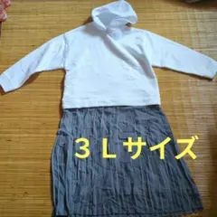 ①フード付きドッキングワンピース 長袖 ３Ｌ