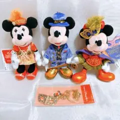 【レア】ディズニーハロウィン　ミッキー　ミニー　ぬいぐるみバッジ　ぬいば　セット
