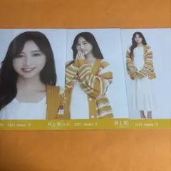 乃木坂46 生写真 井上和 マルチカラーニット 3種 コンプ