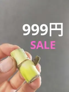 999SALE【N23】斑入りモンステラ ホワイトタイガー カット茎 成長点1つのサムネイル