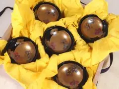 2026年最新】輪島塗 大向高洲堂の人気アイテム - メルカリ