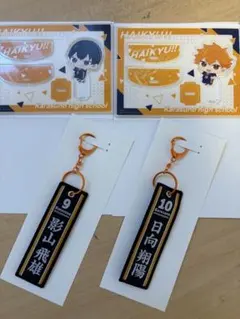 HAIKYU!! 日向翔陽 影山飛雄 アクリルスタンド