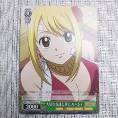 ヴァイス フェアリーテイル SR 永遠に褪せない笑顔 ルーシィ - メルカリ