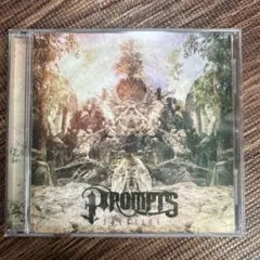 Prompts Solstice CD メタルコア　廃盤　2014