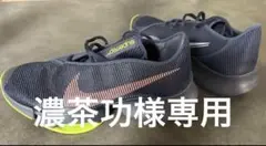 濃茶功様専用 ナイキ NIKE レブロン ウィットネス VII EP バッシュ