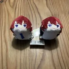 あんさんぶるスターズ　朱桜司もちもちもちマスコット2個セット