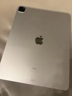 本体のみ iPad Pro 12.9インチ(第4世代)